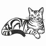 Cat Outlines Sm Embroidery Designs Md Color Mall Embhome sketch template
