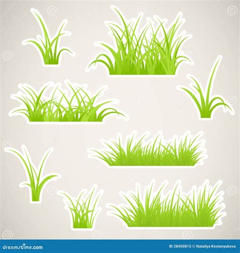 paper grass stock vector illustration  plain isolated