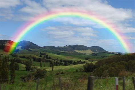amazing reason    find     rainbow
