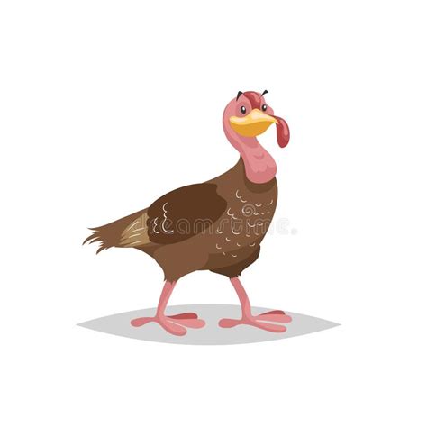 male turkey standing with big tail stock illustration illustration