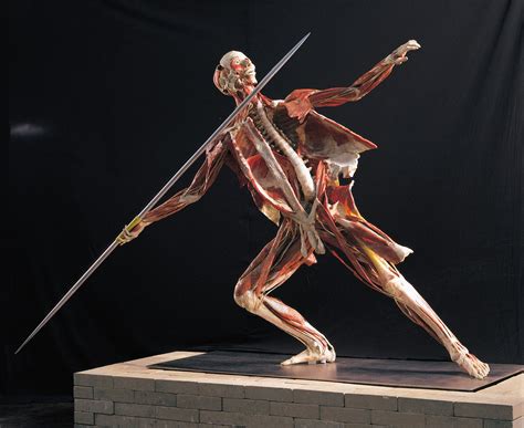 body worlds greater birmingham convention visitors
