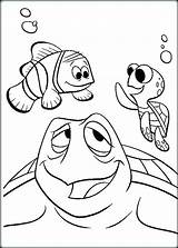 Coloring Pages Crush Squirt Finding Dory Color Getcolorings Cartoons Print sketch template