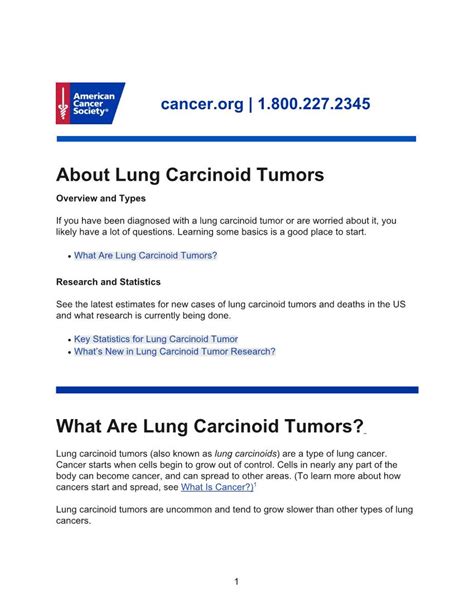 About Lung Carcinoid Tumors Overview And Types Docslib