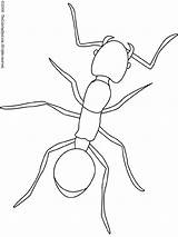 Ant Coloring Pages Kids sketch template