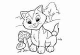 Kucing Sketsa Kelinci Broonet Mewarnai Taman sketch template