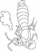 Coloring Pages Cloud Line Shines Earwig Under Choose Board sketch template