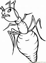 Ant Coloring Pages Printable Ants Print Kids Drawing Template Getdrawings Bestcoloringpagesforkids Visit sketch template