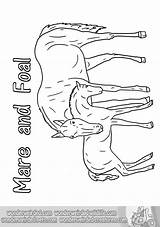 Horses Wonderweirded Foals sketch template