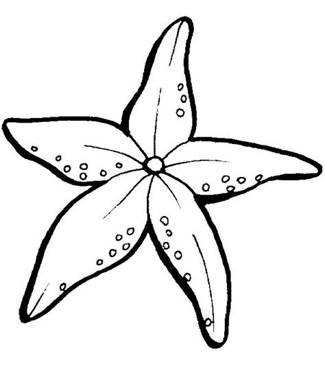 starfish coloring pages kids coloring pages pinterest starfish