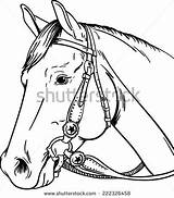 Horse Western Coloring Pages Bridle Vector Color Template Horses Parts Paint Reining Printable Shutterstock Stock Number Diagram Getcolorings Sketch Preview sketch template