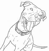 Pitbull Coloring Pages Dog Drawing Printable Puppy Puppies Taking Pit Bull Walk Educativeprintable Educative Cute Colorir Step Choose Board Getdrawings sketch template