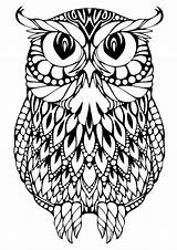 Owl Coloring Printable Adults Detailed sketch template