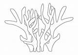 Coral Coloring Pages Printable Nature Kb sketch template