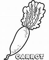 Carrot Coloring Pages Vegetable Vegetables Printable Topcoloringpages Print Kids sketch template
