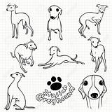 Greyhound Italian Dog Drawing Line Grid Paper Use Set Easy Illustration Drawings Cute Stock Getdrawings 123rf Simple Sold sketch template