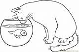 Fish Cat Coloring Watching Pages Coloringpages101 Color Printable Kids Cats sketch template