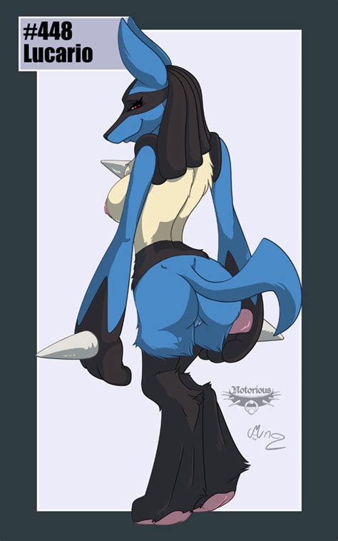 the pokedex project 448 lucario by notorious hentai foundry