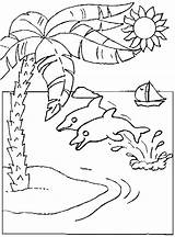 Palm Tree Coloring Pages Coloringpagesabc sketch template