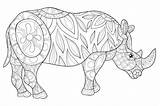 Rhino Rinoceronte Erwachsenes Coloritura Adulto Pagina sketch template