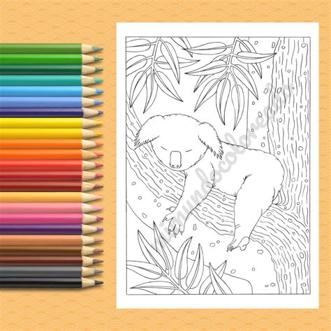 koala coloring page animal coloring pages  adults etsy