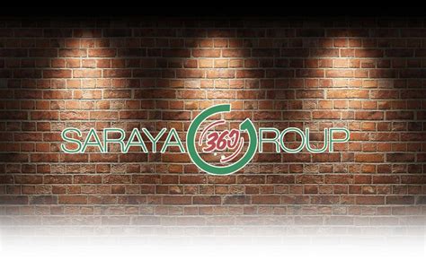 entry   bittarget  saraya logo design freelancer