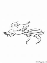 Quetzal Imagenes Volando Drawing Birds Designlooter 1coloring sketch template