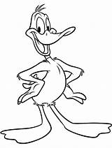 Duck Coloring Daffy Pages Looney Cartoon Choose Board Toones sketch template