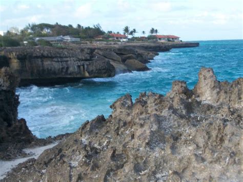 The Cliffs Of St Philip Barbados Pictures Caribbean