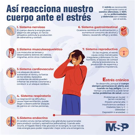 asi reacciona nuestro cuerpo al estres infografia