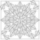 Coloring Pages Fall Adults Leaves sketch template