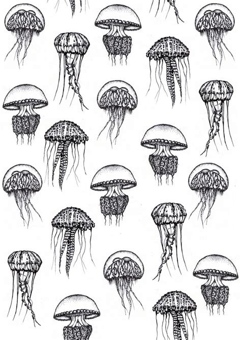 jellyfish jellyfish art jellyfish drawing art drawings