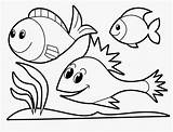 Ikan Mewarnai Interaktif Akuarium Sketsa Anakpintar sketch template