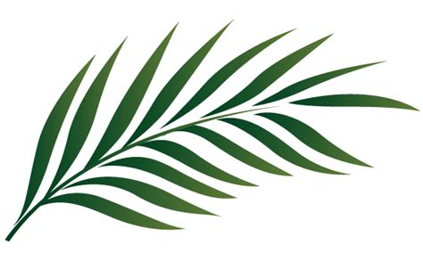 palm leaf template clipart