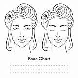 Artist Getdrawings Face Makeup Drawing Chart sketch template