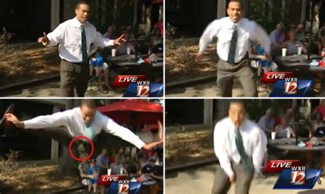 The Hilarious Moment Tv Reporter Splits His Pants Live On The Air