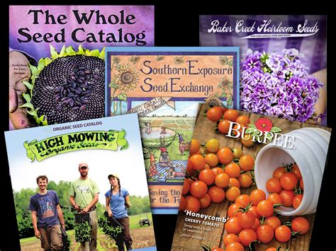 garden seed catalogs  plant sources   farmers almanac