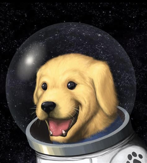 space puppy  turbofanatic  deviantart
