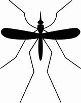 Gnat Clipartmag Clipart sketch template
