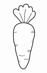 Carrot Easter Carrots Coloringfolder sketch template