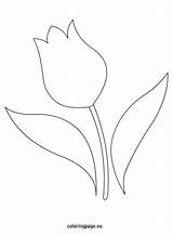 Coloringpage Tulips sketch template