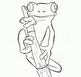 Coloring Frog Tree Comments sketch template