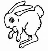 Hopping Bunny Creepy Coloring Eye Pages sketch template