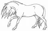 Drawings Horse Stallion Outline Lineart Deviantart Coloring Drawing Sketches Horses Pages Line Animal Choose Board Sketch sketch template