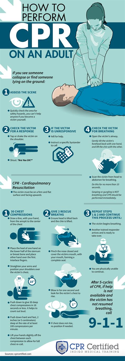 how to perform cpr on an adult infographic