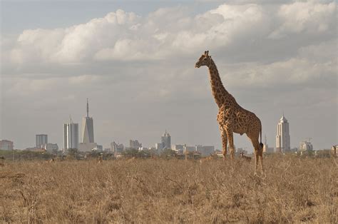 top attractions  nairobi kenya