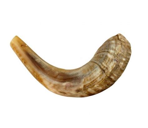 shofar  kids ajudaicacom