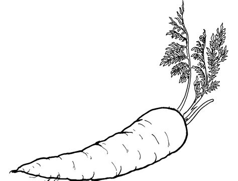 carrot template printable