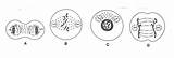 Meiosis Mitosis Stages sketch template