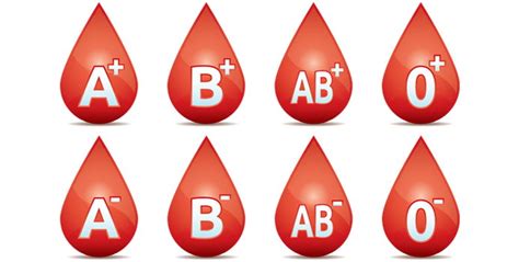 base  diet   blood type nutrition diets