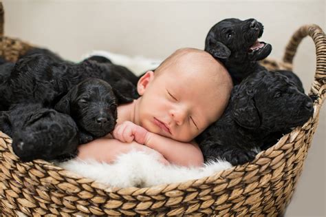 cutest newborn puppies anna blog